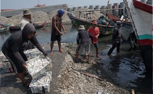 Tanggul Laut Tahan 50-100 Tahun