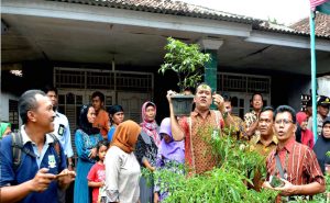 Kopsyah BMI  Targertkan Sentra Cabai di Desa Tangerang