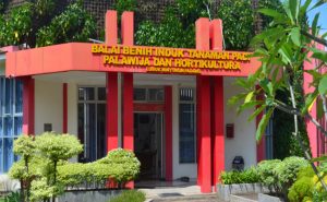 Wahana Rekreasi dan Belajar Tanaman
