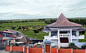 KPSP Setia Kawan Nongkojajar Pasuruan