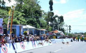 Pacu Itiak Pikumbuah