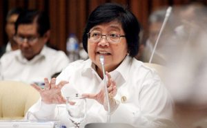 95,76% Hutan Berizin Dikelola Swasta