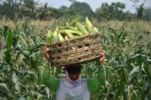 Haryono Suyono: Perlu Kesabaran Melakukan Perubahan