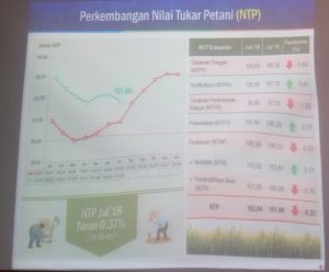 BPS: Nilai Tukar Petani Nasional Turun 0,37 Persen
