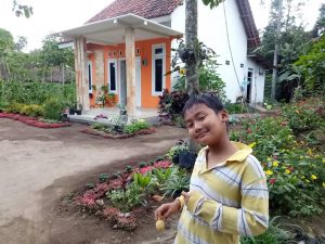 Pulang dari Taiwan, Rina  Rintis Bisnis Sayuran Organik