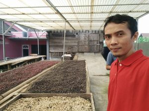 Geliat  Kopi Petik Merah Bengkulu
