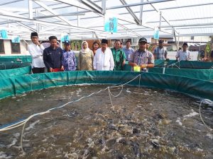 KKP: Budi Daya Ikan Harus Berbasis Perubahan Iklim