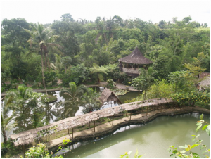 Desa Wisata Pentingsari: Belajar Budaya, Sambil Plesir