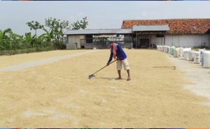 Menggugat Kembali GLK-KUD
