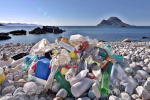 Kementerian LH: Pelanggar Penghentian Impor Sampah Bakal Ditindak Tegas
