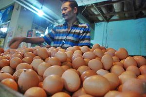 Harga Telur Kembali Melonjak Menjelang Akhir Tahun