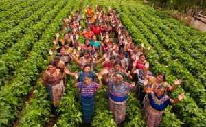 Koperasi “Mujeres Cuatro Pinos” Barcode Budidaya Wanita Guatemala di Pasar Dunia