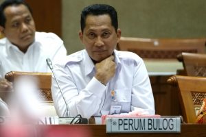Pasca Panen Raya 2019, Bulog Berencana Ekspor Beras ke Negeri Jiran