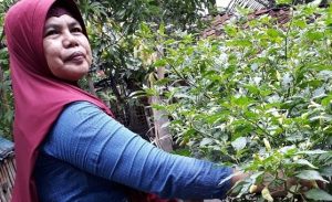Blukbuk Luwung Menuju Kampung Cabai  (1)