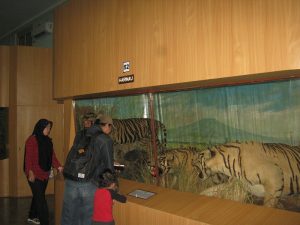 Museum Zoology, Unik,  Edukatif , Sayang Kurang Berkembang