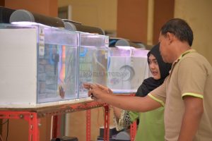 Pecinta Louhan, Tak Lekang Ditelan Waktu