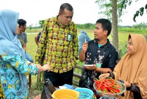 PANEN CABAI KOPSYAH BMI MENGGAGAS TANGERANG MENJADI SENTRA CABAI NASIONAL