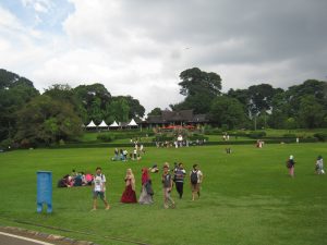 Bertemu Kayu Raja Asia di Kebun Raya Bogor