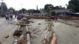 Pakar: Sektor Lingkungan Kerap Dikorbankan untuk Pembangunan