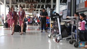 Penumpang Domestik Anjlok 17,6 Persen