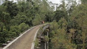 Reaktivasi Rel Kereta Api Jabar Tingkatkan Jumlah Penumpang