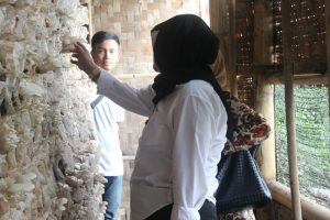 Petani  Cianjur Berdaya Lewat Jamur Tiram
