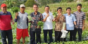 Kementan Dorong Karanganyar Jadi Sentra Sayuran Organik