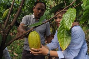 Pemprov Bali Akan Tingkatkan Jumlah Koperasi Produksi