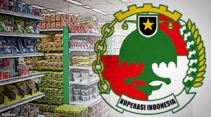 Pegiat dan Praktisi Koperasi Dukung Pengesahan UU Koperasi Baru Tanpa Pasal Dekopin