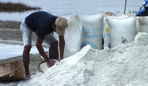 Inilah 10 Daerah Penghasil Garam Terbesar di Indonesia