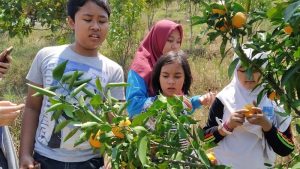 Green Education Bandung Ajar Cinta Lingkungan Bernilai Ekonomis