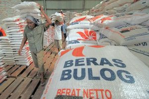 Pemerintah Lanjutkan Bantuan Pangan hingga Juni 2024