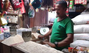 Kenaikan Harga Beras akibat Masalah Struktural, El Nino jadi Kambing Hitam