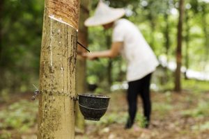 Pemerintah Akan Tingkatkan Serapan Karet  Dalam Negeri