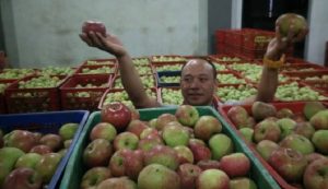 Kadin Jatim Petakan Pelaku UMKM Pertanian untuk Pendampingan