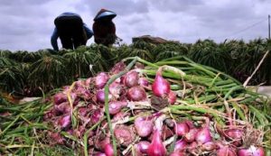 Jelang Akhir Tahun, Kemendag Waspadai Kenaikan Harga Bawang Merah