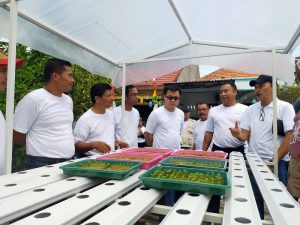 Danamon Ubah Kawasan Medayu Utara Jadi Kampung Hidroponik