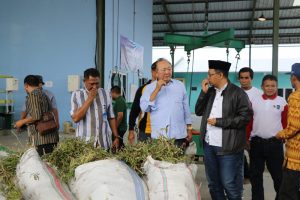 Gubernur NTB Resmikan Pabrik Minyak Kayu Putih Terbesar di Dunia