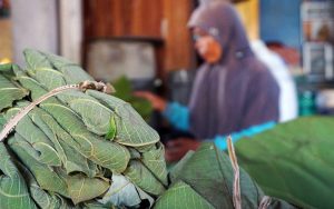 Menkop Dukung Pelarangan Kantong Plastik