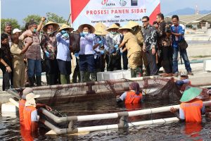 Banyuwangi Ekspor Sidat ke Jepang Senilai Rp13 Miliar
