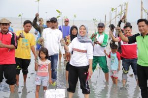 Wagub Lampung Pimpin Penanaman Mangrove di Pantai Mutiara Baru