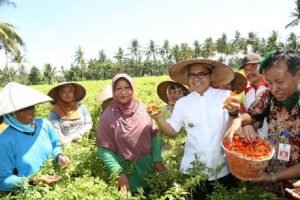 Ekonomi Kabupaten Banyuwangi Tumbuh 5,86 Persen