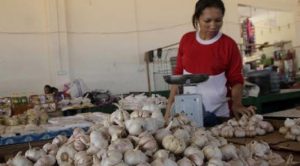 Mentan Sebut Harga Bawang Putih Melambung karena Kepanikan Masyarakat