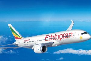 Boeing 737 Max, Cacat dan Ditarik