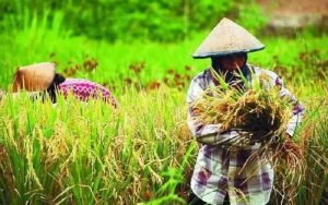 NTP Januari 2020 Naik 0,78 Persen