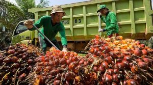 Kementan Dorong Gratiek Ciptakan Jutaan Lapangan Kerja