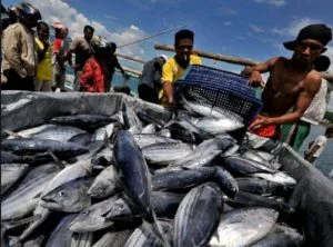 Kementerian Kelautan dan Perikanan Berhasil Capaian Investasi Rp7,82 Triliun Hingga Triwulan III