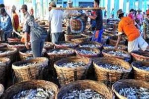 Kolaborasi Alami dan eFishery  Dukung UMKM Perikanan