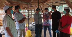 Sepuluh Perusahan Serap 221. 875 Ayam Ras Peternak