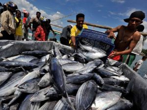 KKP Optimis Sistem Resi Gudang Dongkrak Harga Komoditas Perikanan
